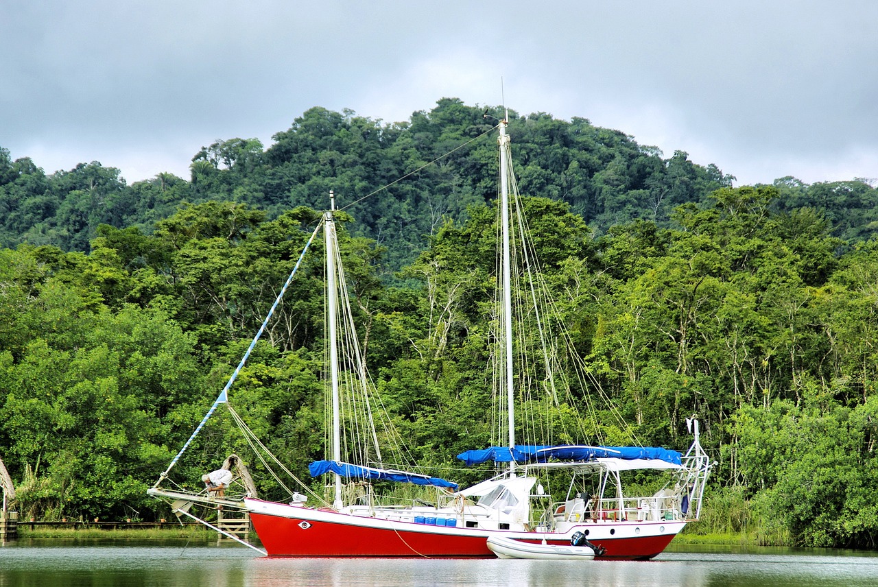 Sailboat-River-Rainforest-889767.jpg