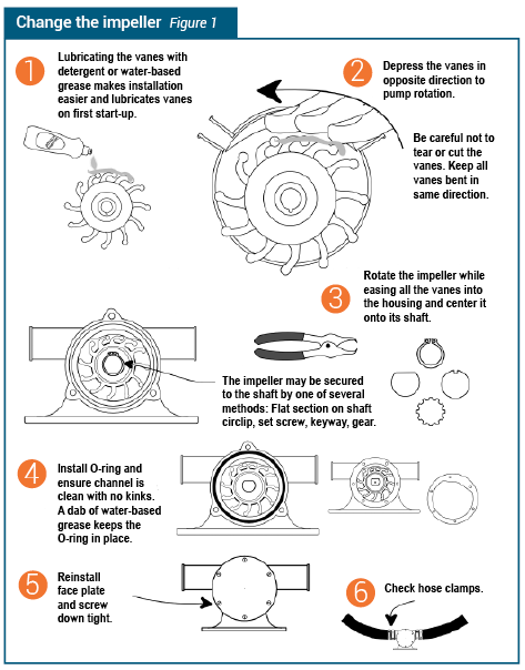 imagesChanging-impeller-technique-sailing-mag.3519.png imagesChanging-impeller-technique-sailing-mag.3519.png